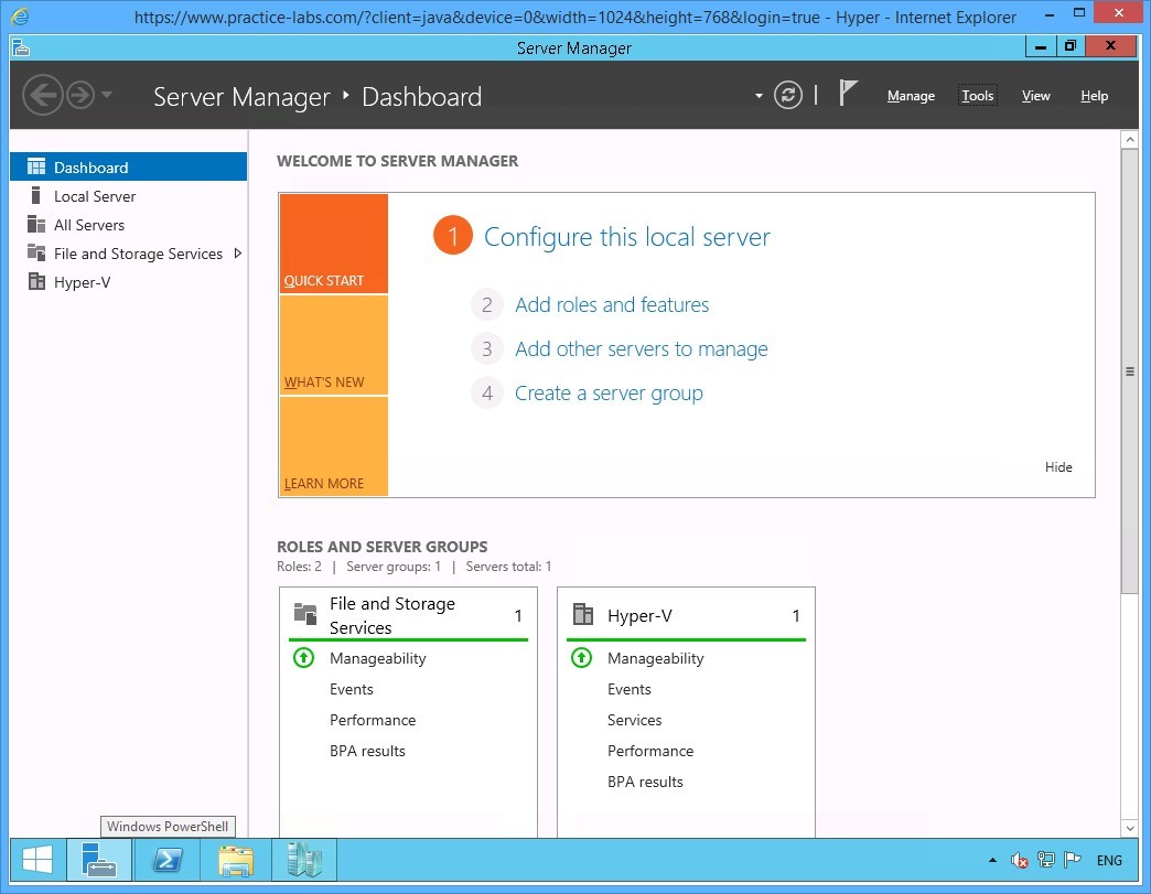 Figure 1.12 Screenshot of the device PLABHYPERV